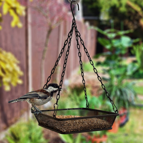 Hanging Bird Feeder with Mesh Tray, Black